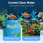 💧🐠 Pastilles Effervescentes pour Aquarium et Bassin 🔥