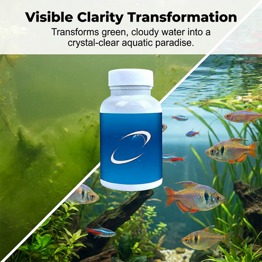 💧🐠 Pastilles Effervescentes pour Aquarium et Bassin 🔥