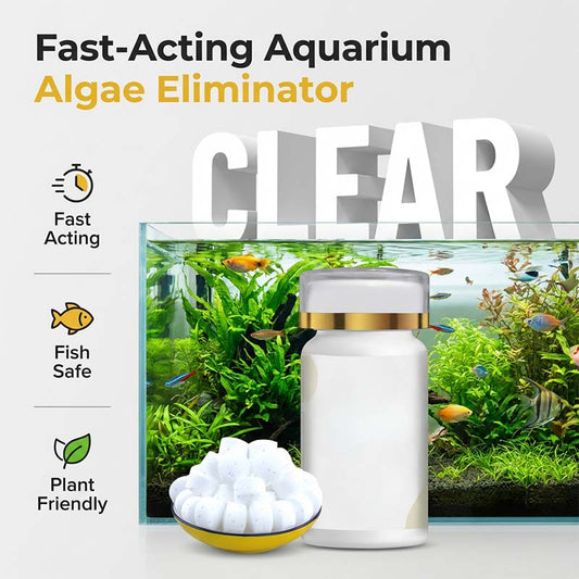 💐50% DE RÉDUCTION ! Traitement Anti-Algues Aquarium – Sans Danger pour Poissons & Plantes 🌿🐠【Qualité Pro】