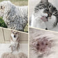 Brosse double face pour le soin des poils d'animaux